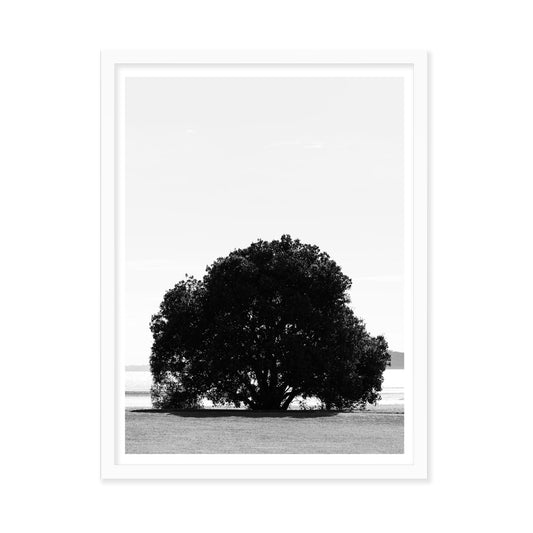 BEAUTY UNFOLDS 3.0 - LE