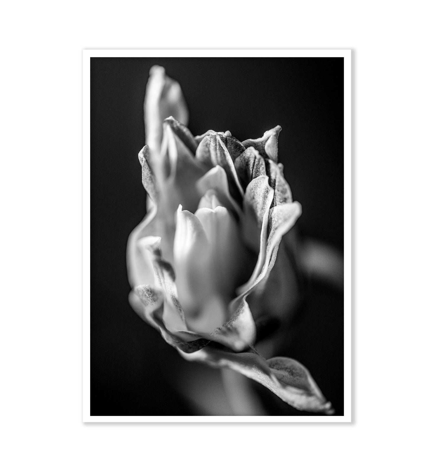 BECOMING - LE