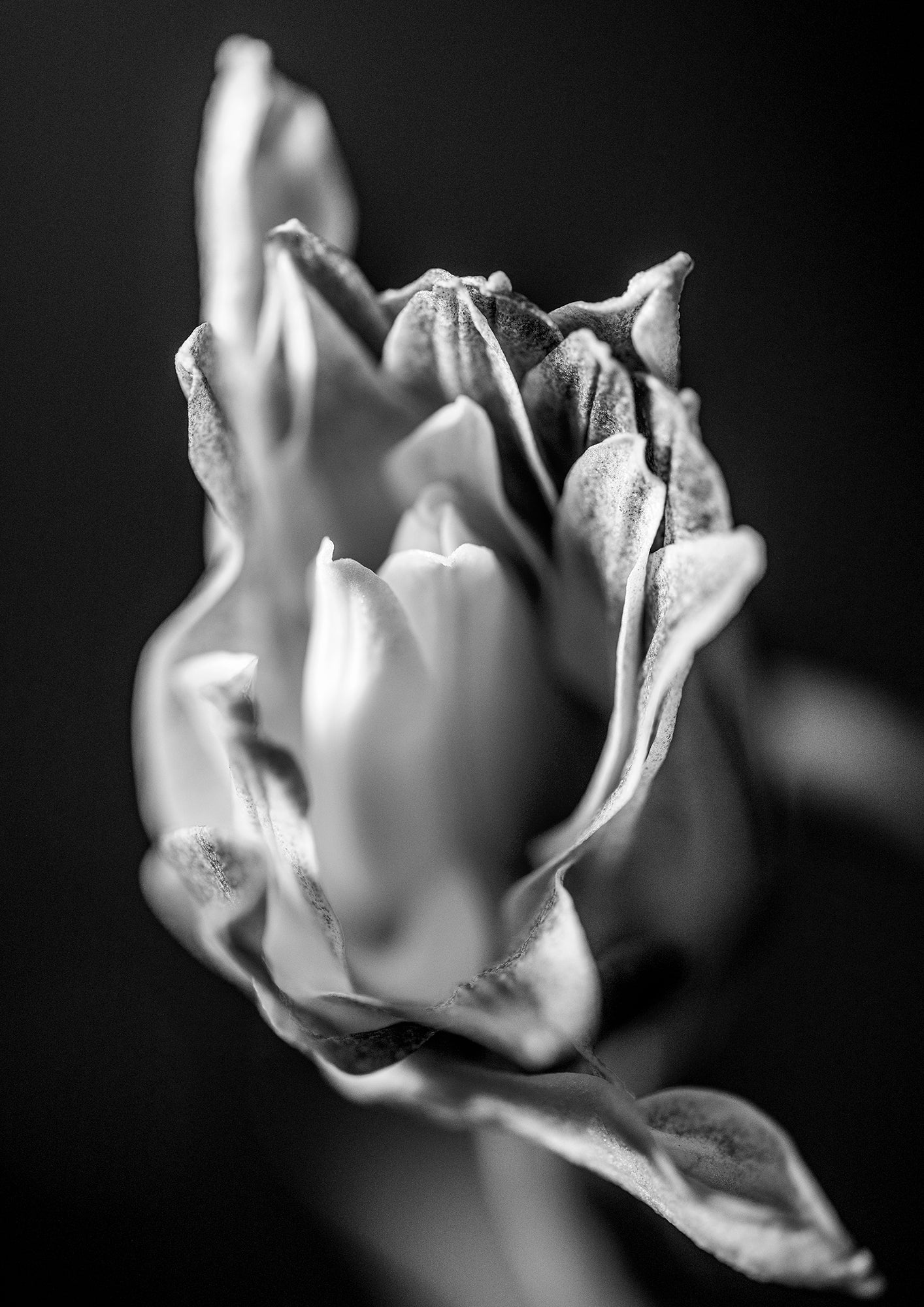 BECOMING - LE