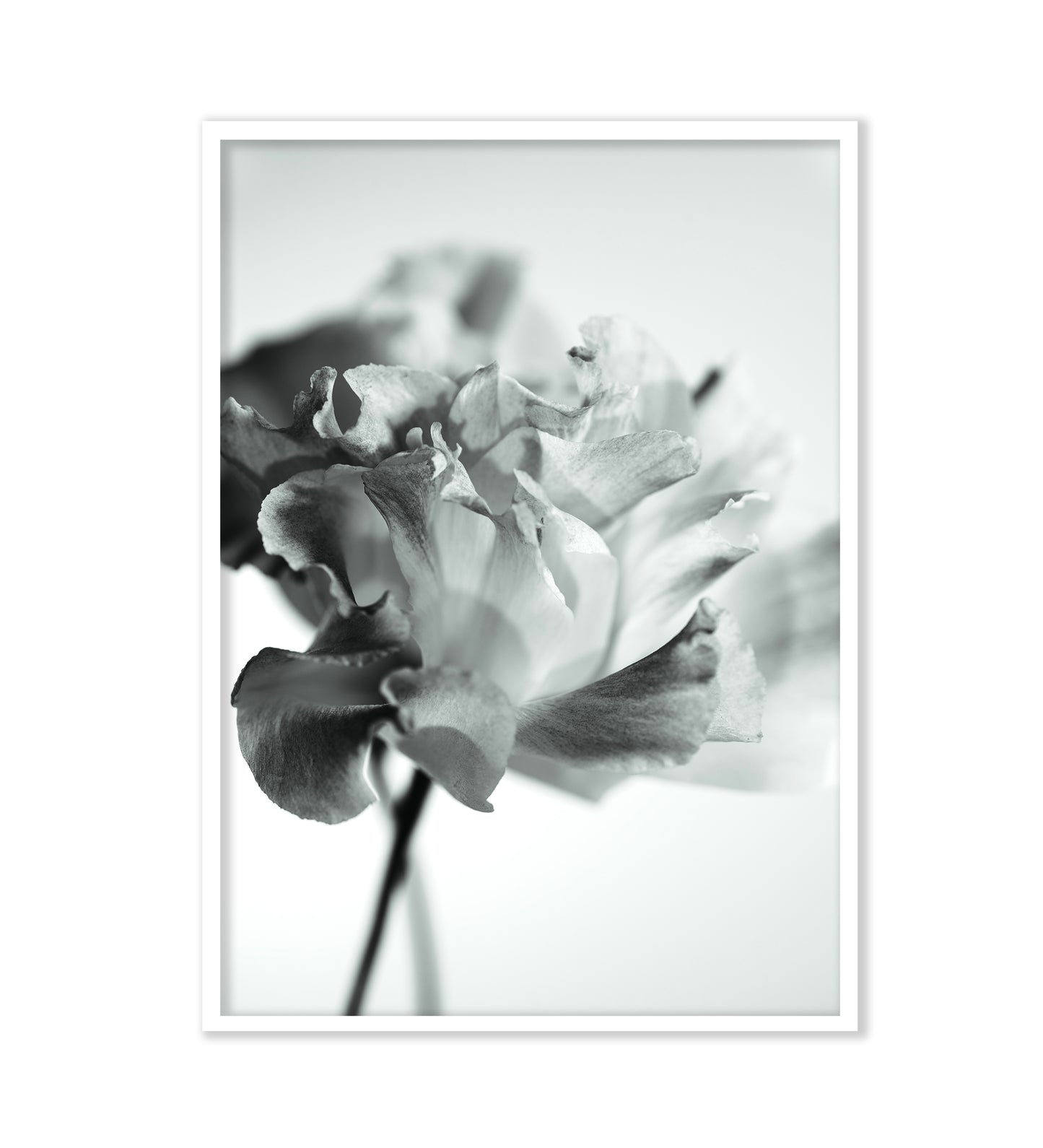 DANCE THE NIGHT AWAY - LE