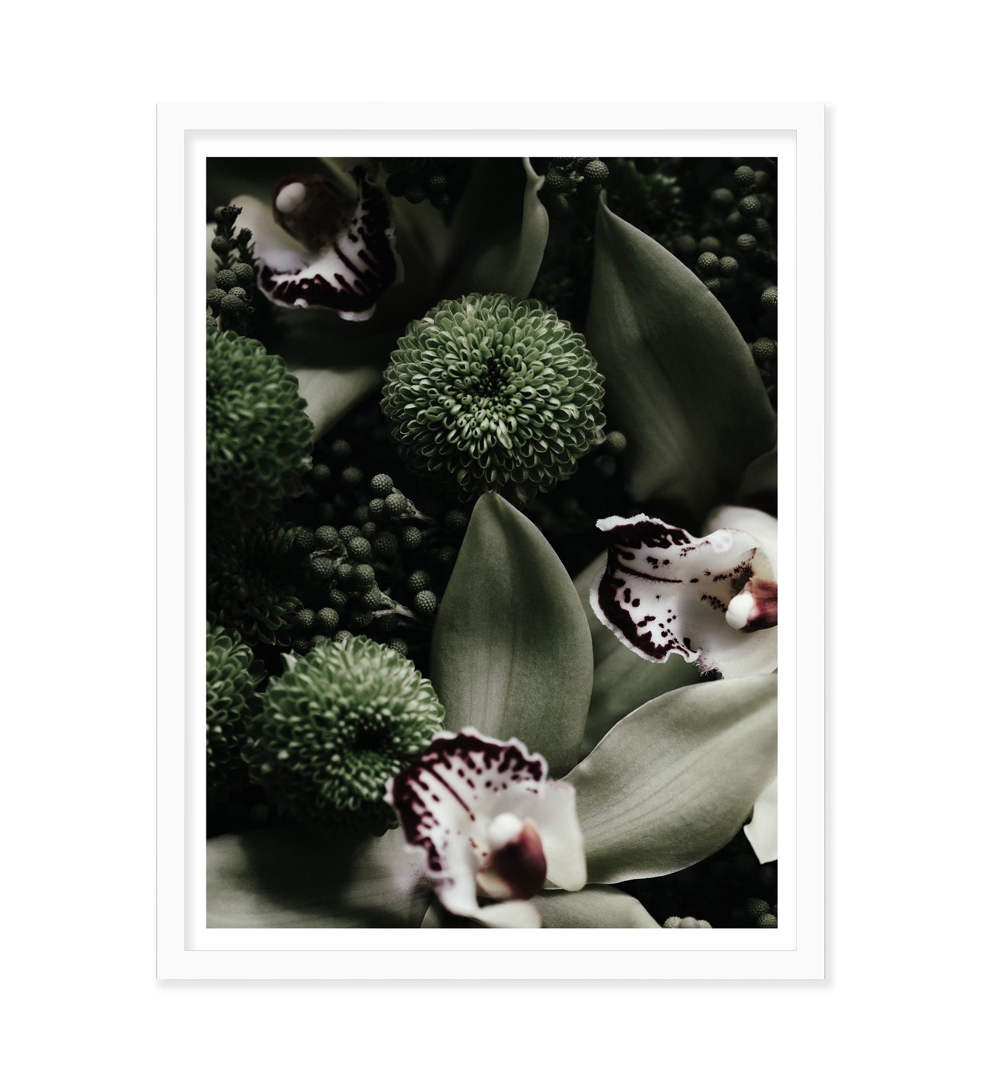 NATURE EMBRACED - LE