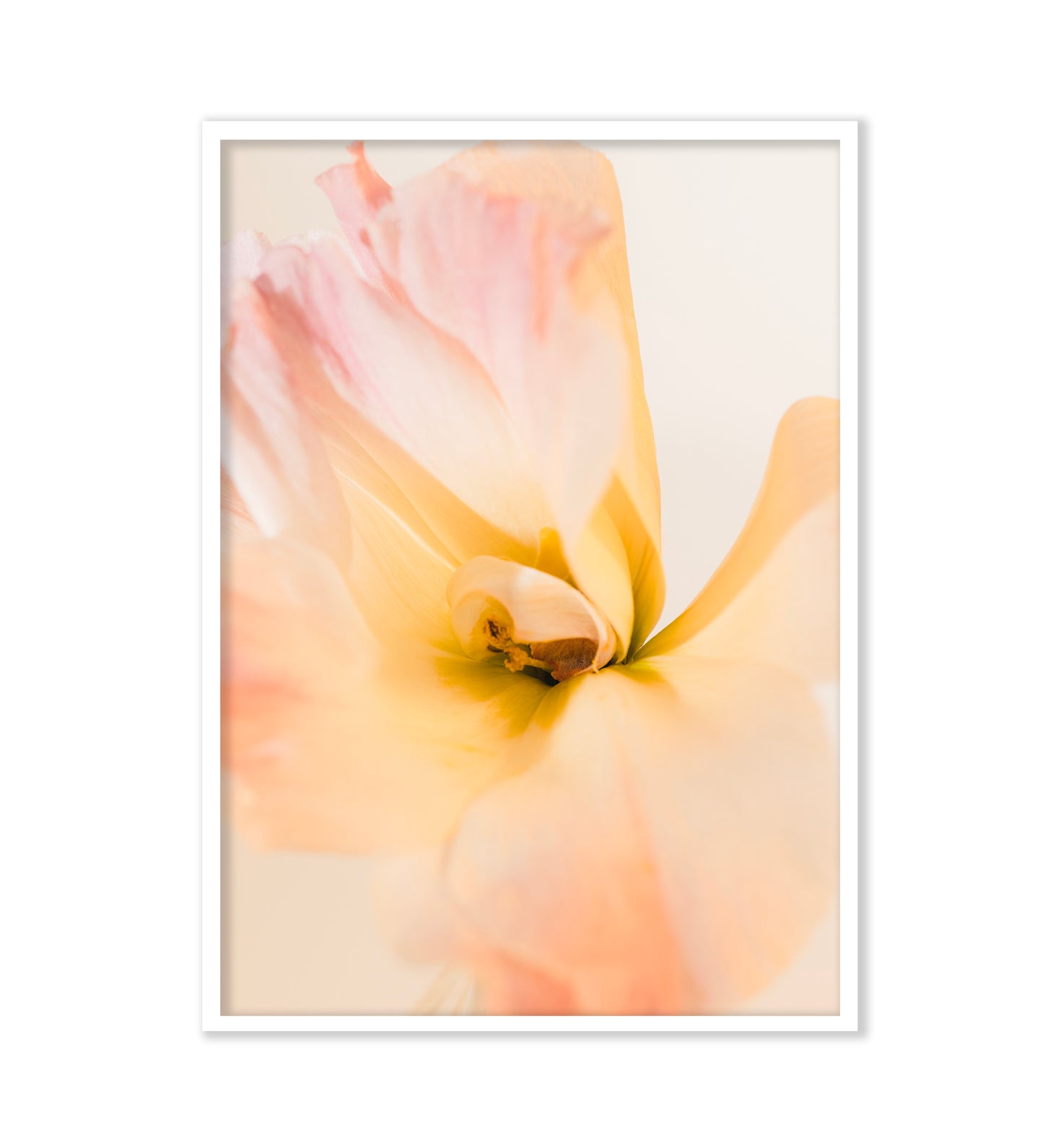 PEACEFUL EMBRACE - LE