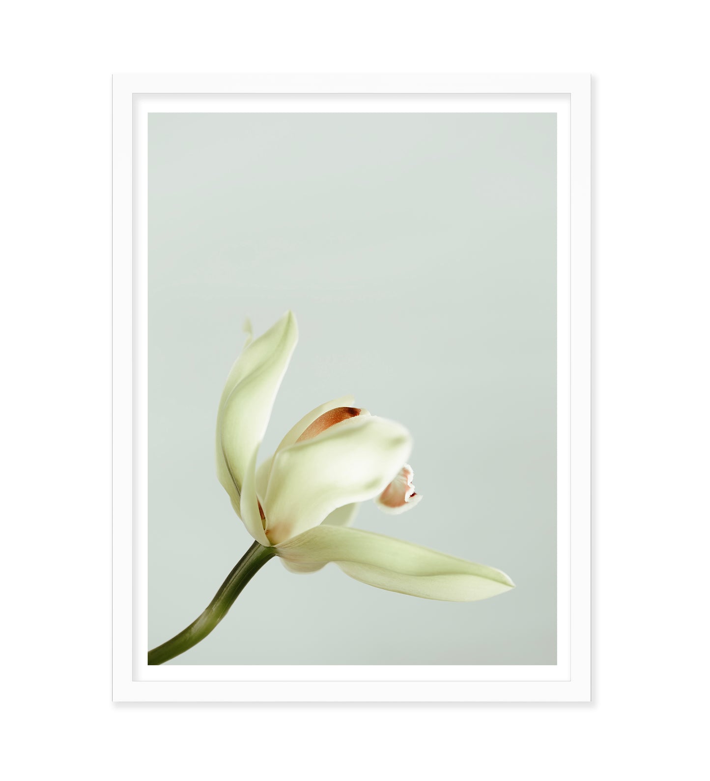 PURSUING ELEGANCE - LE