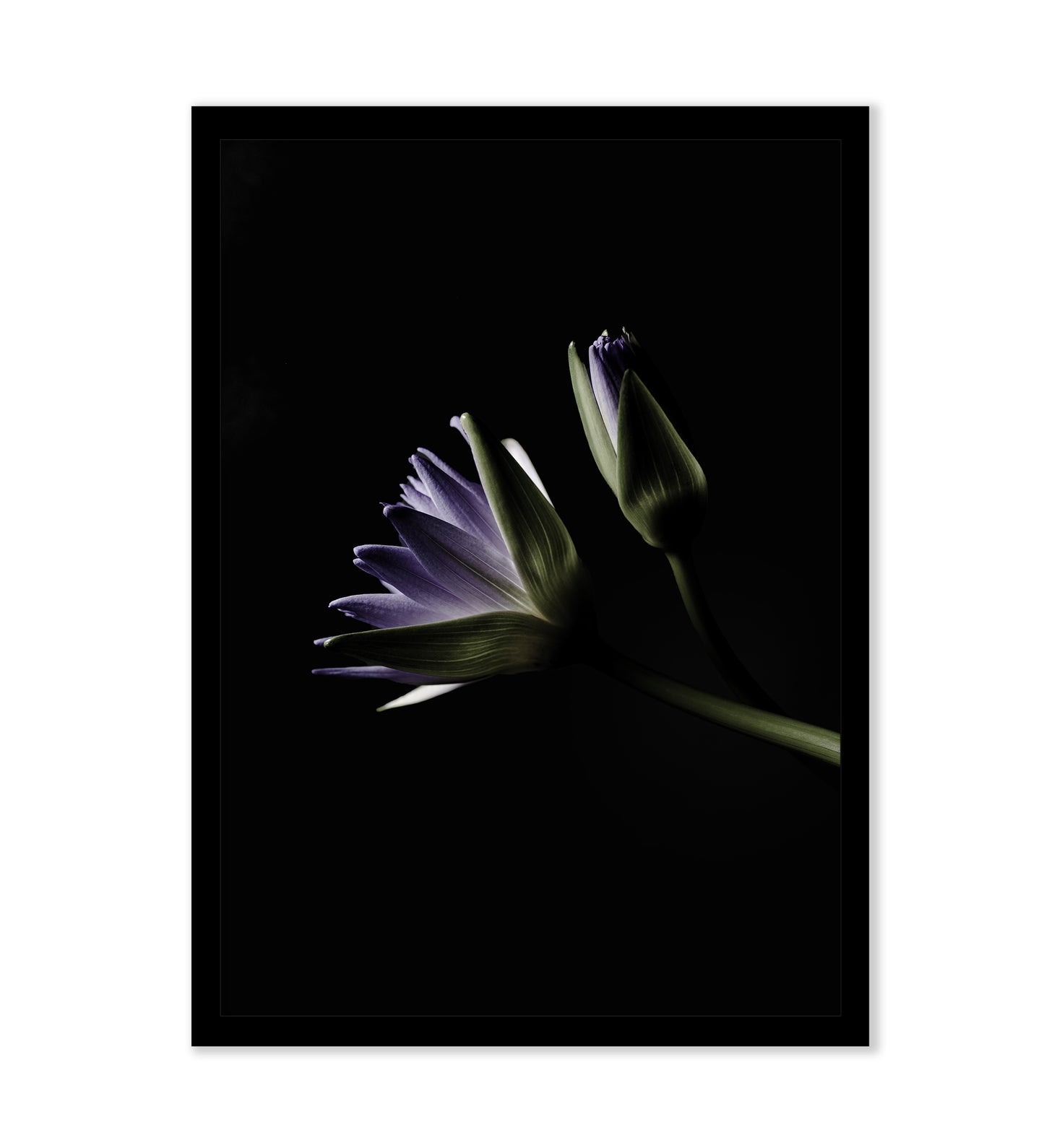 WHERE WATER LEARNS TO BREATHE - LE