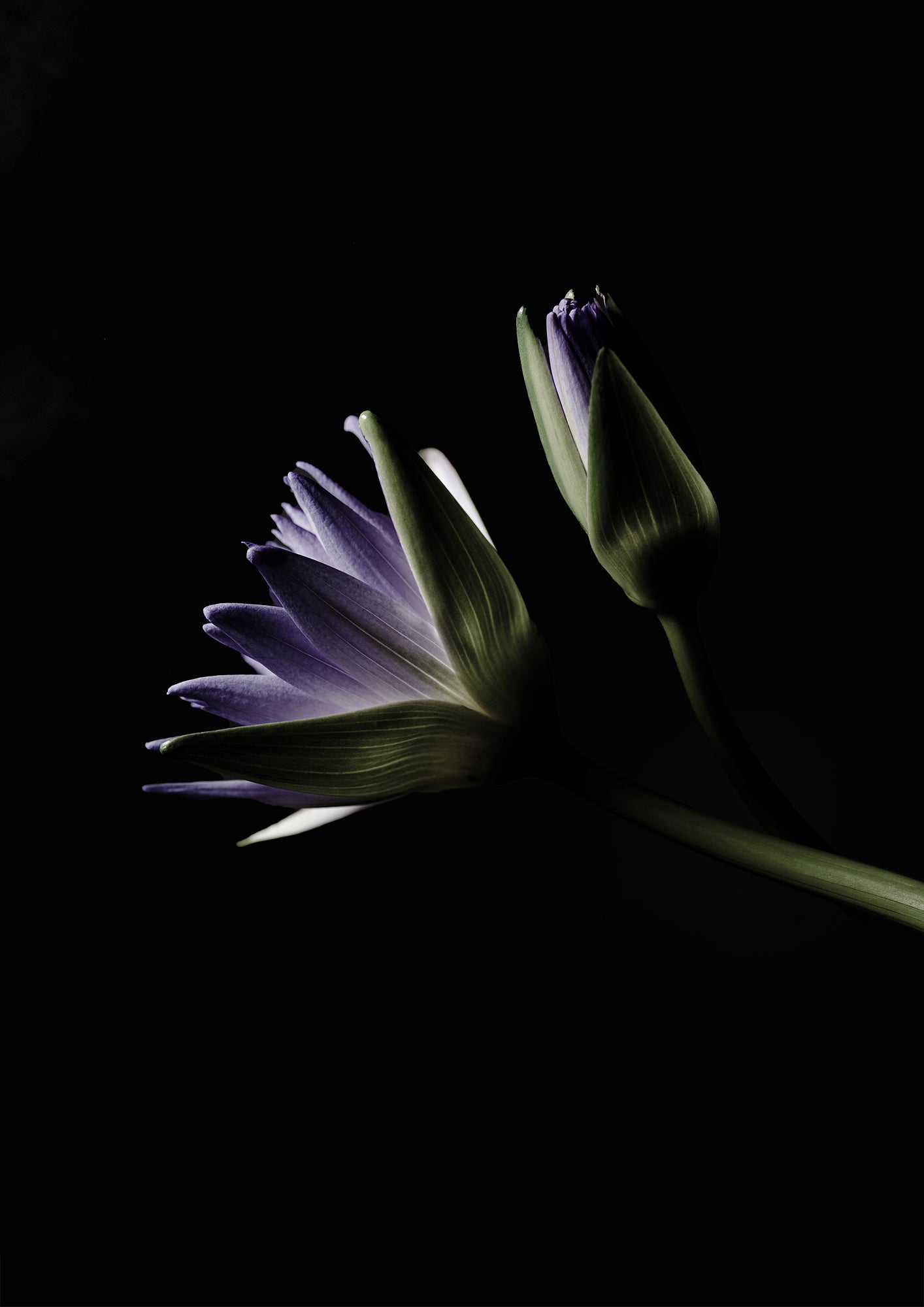 WHERE WATER LEARNS TO BREATHE - LE